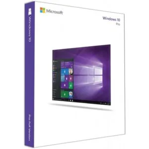Windows 10 Professional