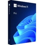 Windows 11 Professional